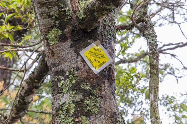 谷關七雄_屋我尾山2977012