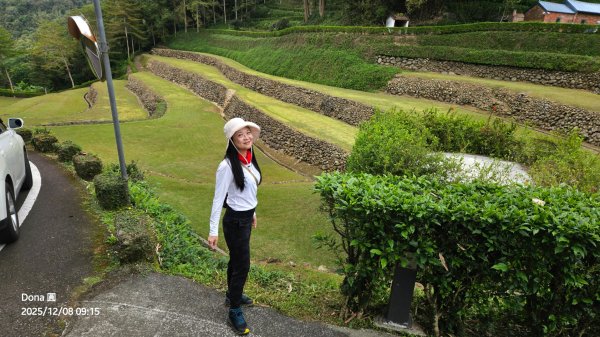 20251208雞寮坑山南稜線O走+鹿寮坑濕地賞景採果2969013