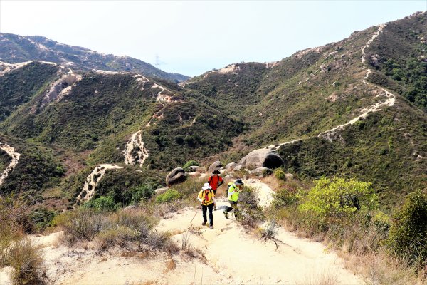 HK - 青山復地1482571