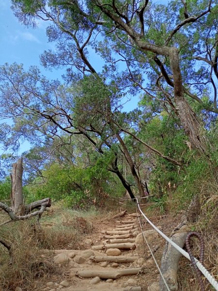 【小百岳集起來,百大必訪步道】苗栗火炎山1157294