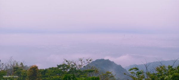 差點完全槓龜 4/212767083