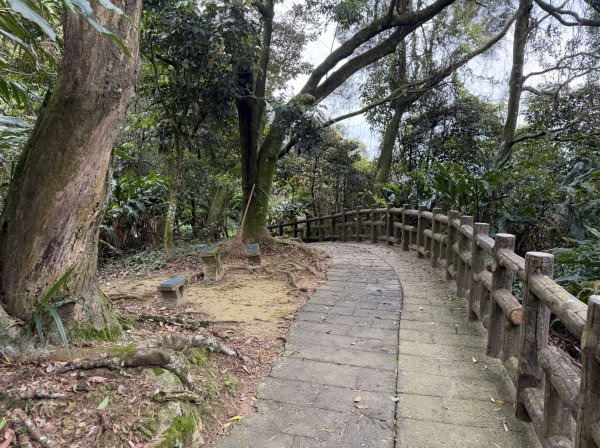 [微笑山線_第四段] 2026_0321 天上山系_石門內尖山東峰3021321