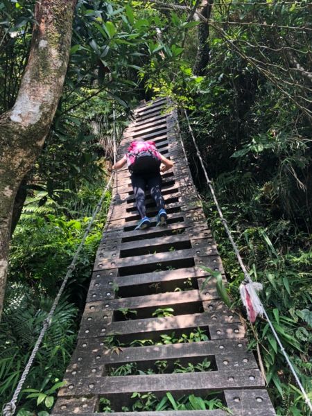 新店獅仔頭山隘勇線386441