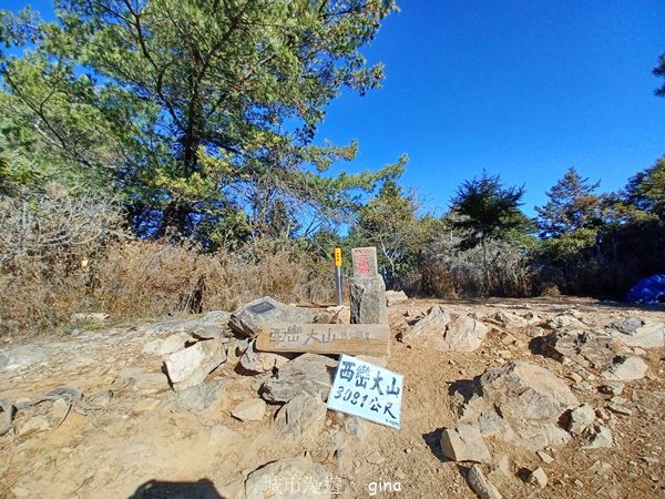 【南投信義】陡上陡下無冷場叫大山的都不好惹。 No91百岳~西巒大山 (人倫林道進出)2402345