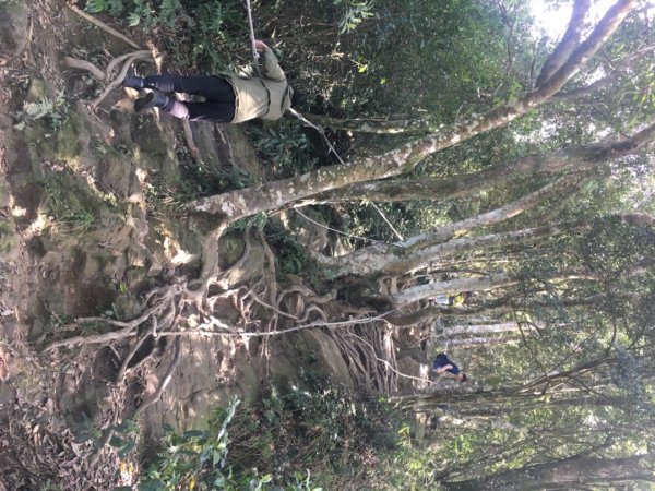 仙山（靈洞宮、協靈宮2723200