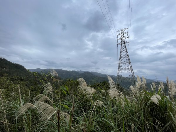 坪林烏窟子山2685870