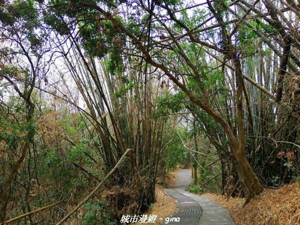 【南投。草屯】蜿蜒步道很親民。 中興新村虎山步道1383083