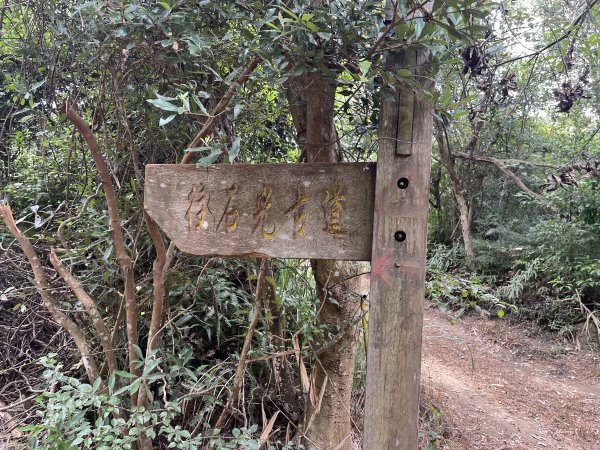 [皮皮獅探險隊-05/10] 2025_0706 石光古道2831857