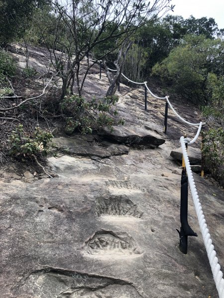 金面山親山步道525557