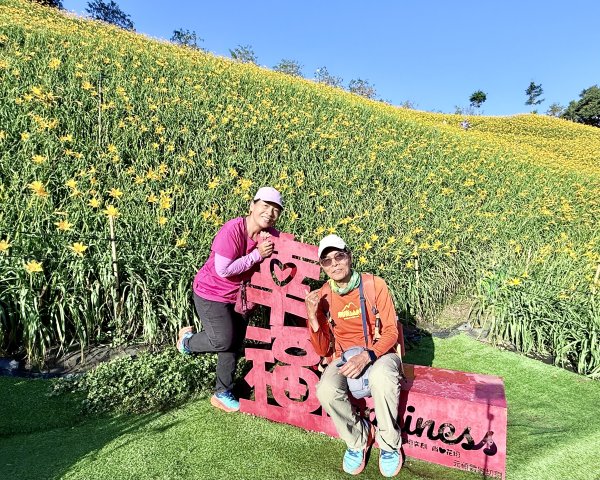 虎山巖賞金針花順撿基石    2025.5.142789449