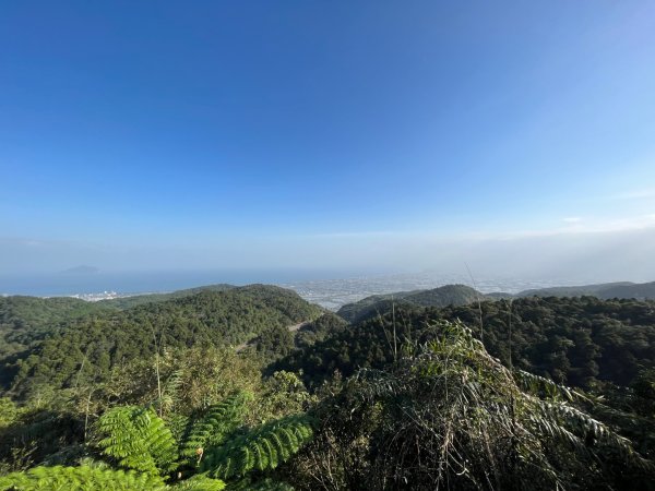 20231118_鵲子山步道（宜蘭小百岳）2763014