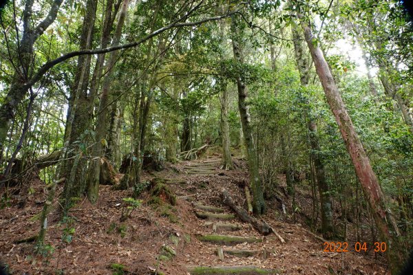 臺中 和平 鞍馬山1697275