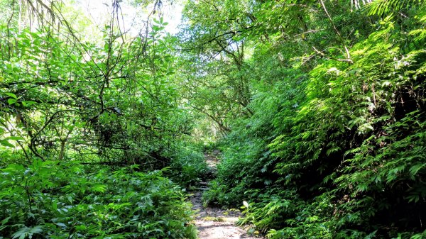 梅竹蹊山,麻竹坑山,苕谷瀑布,蝙蝠山2883319