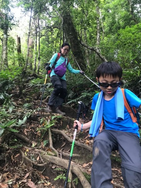 可看到小巧五指山的鵝公髻山 615641