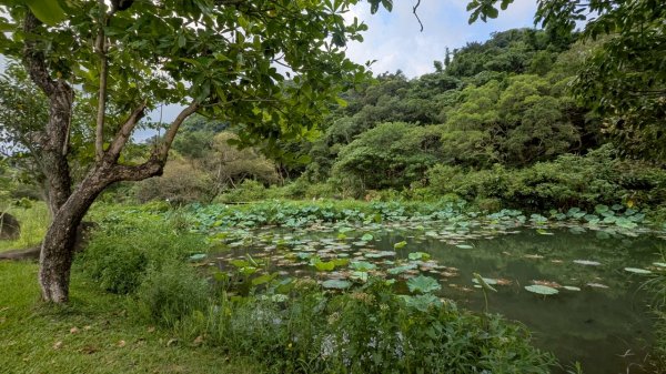114.06.21山豬湖自然生態之行2819042