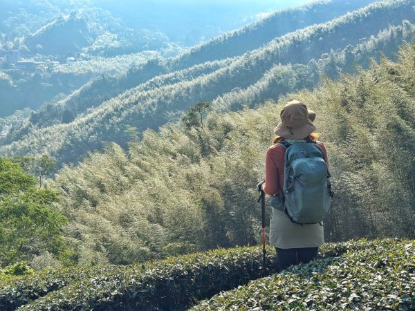 溪頭六連峰O繞2741762