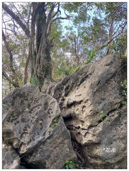 皇帝殿石壩尖、東峰、西峰連走(北峰登山口)2675652