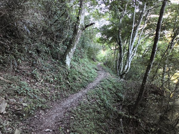 [玉山尋寶任務-07/12] 2025_0824 八通關雲龍瀑布步道2870550