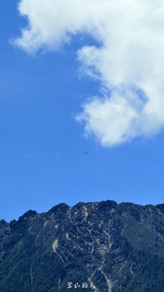 玉山主東北3087229