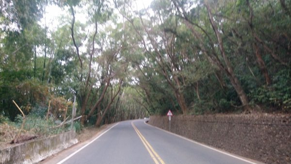 連走松柏坑山和橫山小百岳1555568