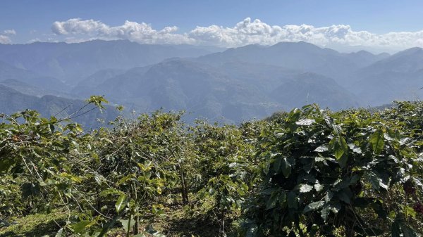 20250124小百岳 梨仔腳山及大尖山2703367