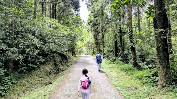 坪溪古道,石空古道2873461