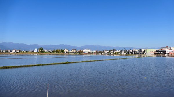 羅東運動公園2690169