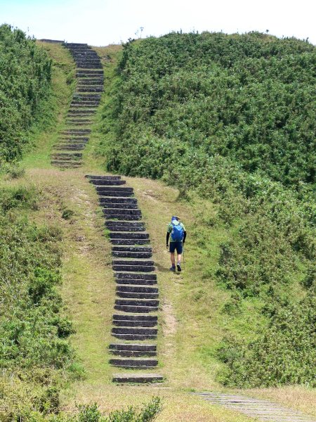 草嶺古道-大溪線-桃源谷-虎字碑-草嶺古道-福隆 202409092593294