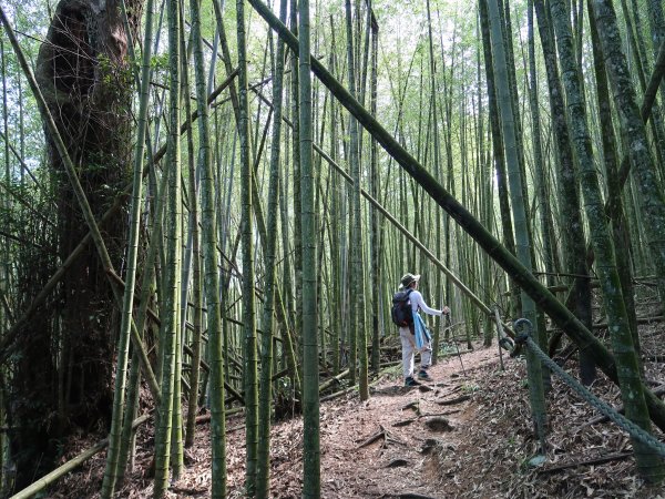 水社大山2148369