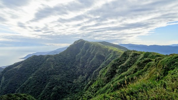 大溪,灣坑頭山,福隆790134