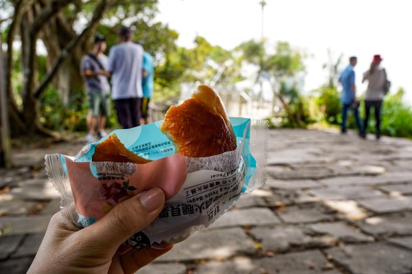 觀音山 硬漢嶺2870063