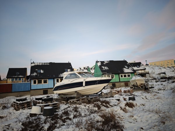 [紐約馬之行-32] 2025_1106 格陵蘭犬2947914