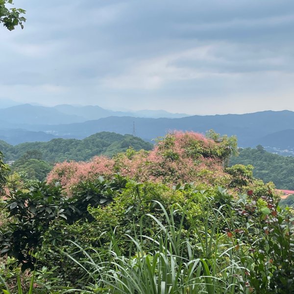 1140601石門山2803245