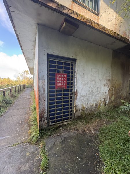 20251225塔山步道(大塔山)2970416