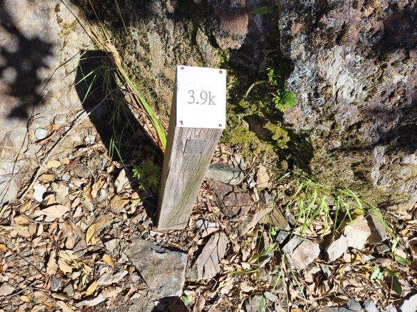 [玉山尋寶任務-07/12] 2025_0824 八通關雲龍瀑布步道2870644