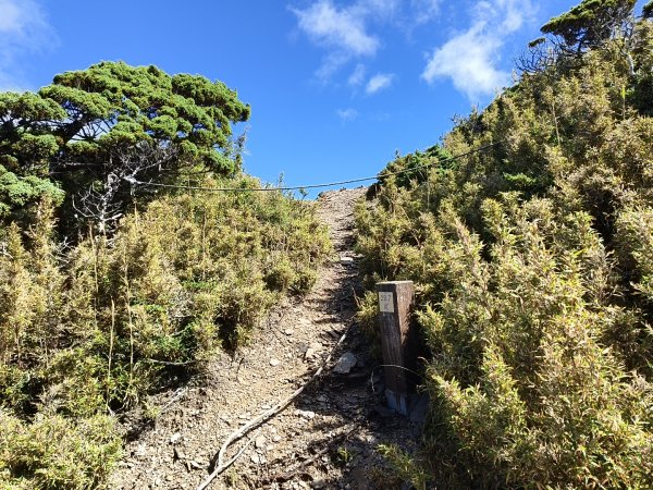 北一段(11/14)南湖北峰 2025_0906~132887339