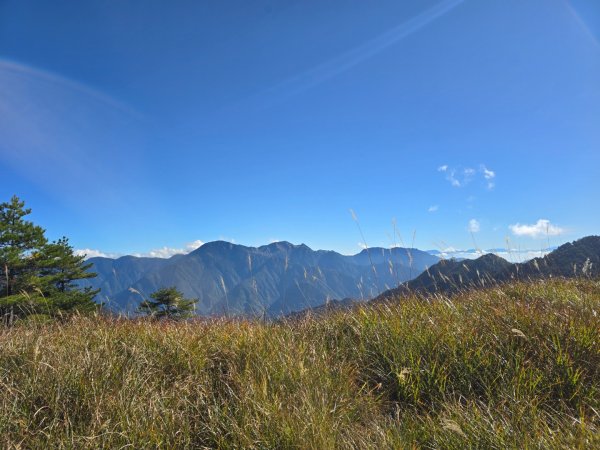 大雪山國家森林遊樂區賞楓／看神木／賞雪白山頭／賞大景2974265