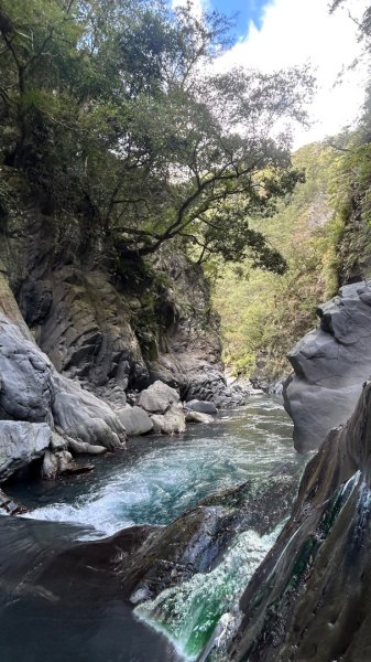 海端栗松溫泉2970904