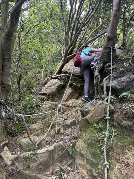 獅仔頭山 2025.07.202864279