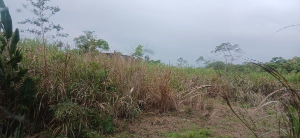 2025 4/5 加奈美山2754457