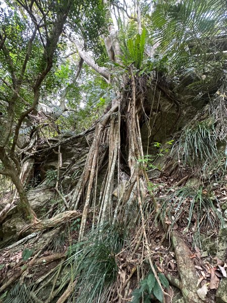 得卡倫步道上立霧山從砂卡噹步道回太魯閣國家公園遊客中心2122139