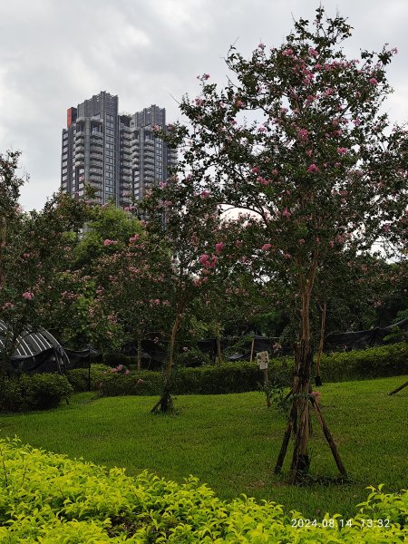 大安森林公園、瑞陽公園、大港墘公園、宏匯瑞光廣場【走路趣尋寶】【臺北健走趣】2574713