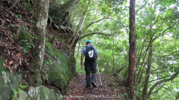 《雲林》望好望角｜石壁山嘉南雲峰步道(中側登山口）202506072805536