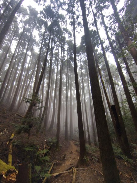 長壽山、肥崠山、醜崠山、大崠山、大崠山經建版2931614