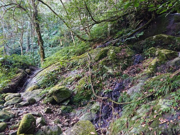 雲霧步道上鵝公髻山2425636