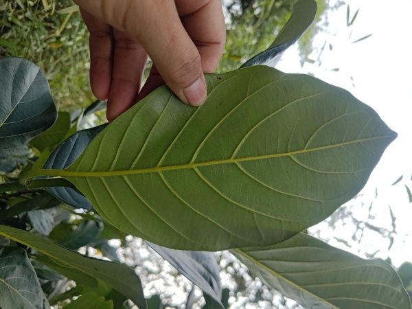 塘湖古道塘湖山甕缸潭2454295