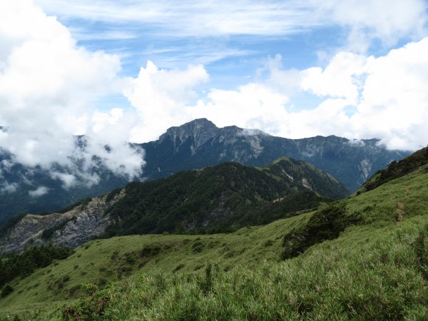 《南投》愛上山｜合歡山東峰2016061412165