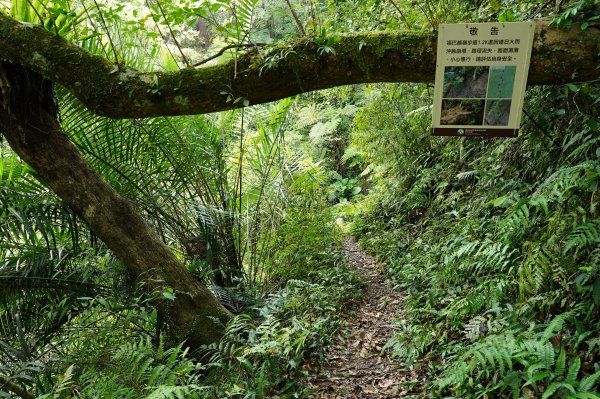 新北 烏來 山車廣山、檜山2567418