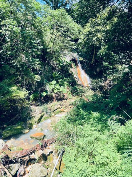 20261009 菁苗步道（苗圃登山口-菁山自然中心-前山公園）3133905