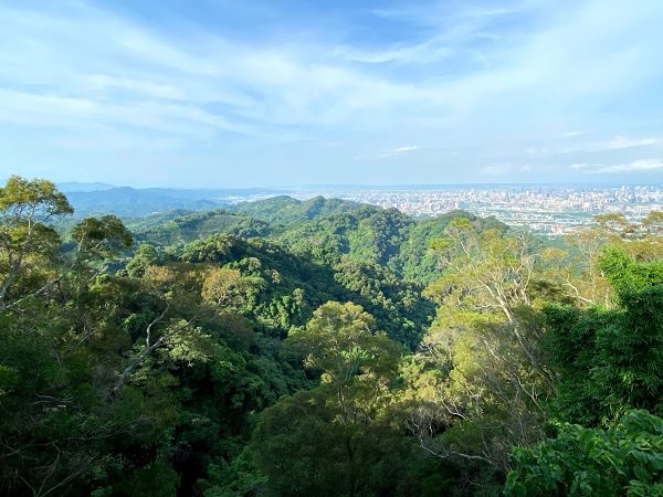 1090705_宸宸_潭子新田登山步道1102967